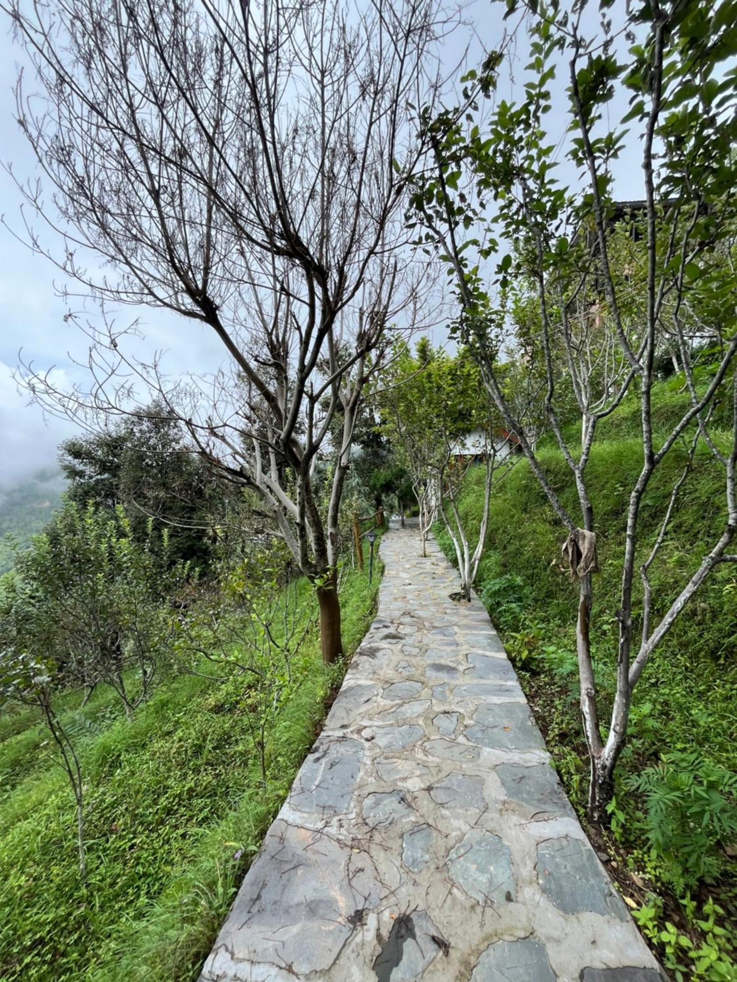 Apple Garden Cottages And Restaurant Дханолти Экстерьер фото